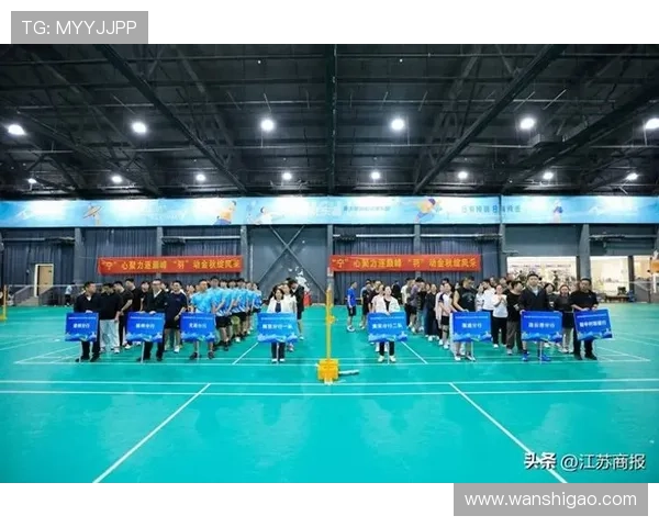 南京羽毛球队运营揭秘：探索羽毛球深度与发展之路
