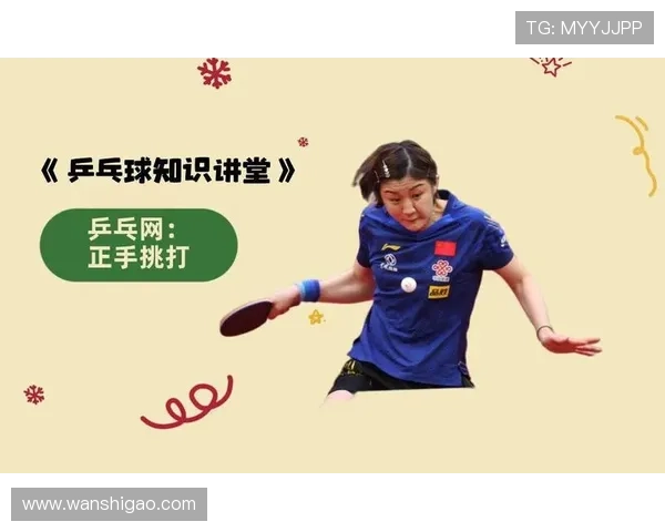 成都乒乓球队的阵地战揭秘：深度解析乒乓球的战术与技巧