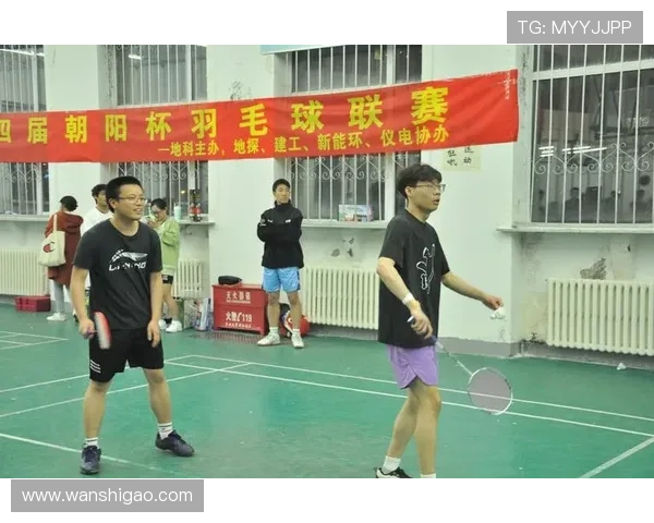 成都羽毛球队在杯赛中的技术表现分析与亮点总结