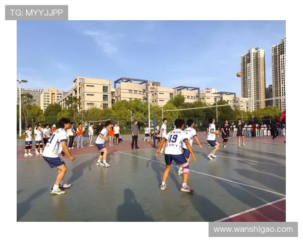 武汉排球队在排球比赛经验排行榜中荣获第二名的辉煌成就分析