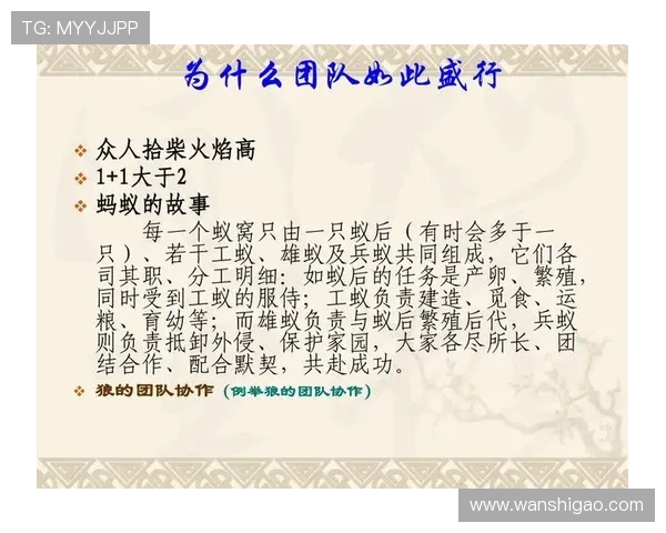 深圳乒乓球队在奥运会上的卓越表现与团队力量的深度解析
